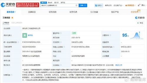 湖北丹江大數據公司成立，5億注冊資本瞄準數據處理服務新藍海